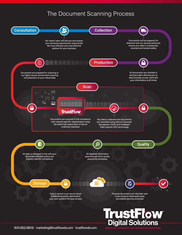 Infographic - Document Scanning Process Explained - TrustFlow Digital Solutions